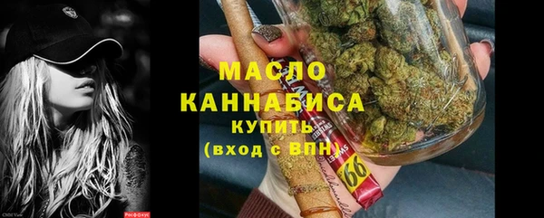 дмт Каменногорск