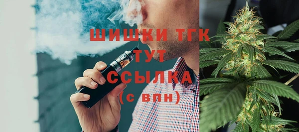 дмт Каменногорск