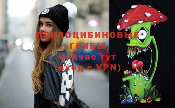 герыч Каменка