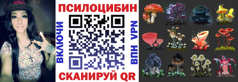 Галлюциногенные грибы мухоморы  Купить где  Галич 